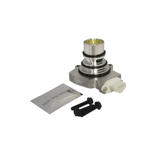 PURGE VALVE KIT icjtruckparts